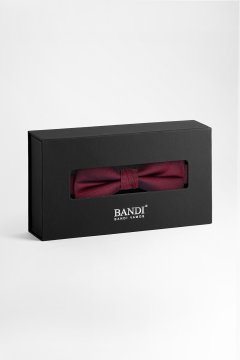 Pánský motýlek BANDI, model ANTUZIO medium 03