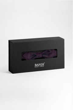 Pánský motýlek BANDI, model ANTUZIO slim 04