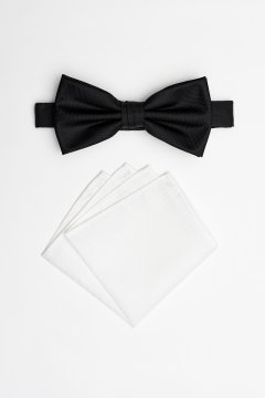 Pánský motýlek BANDI, model ANTUZIO 07