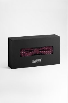 Pánský motýlek BANDI, model CALVENO medium 01