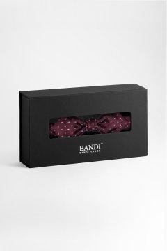 Pánský motýlek BANDI, model CALVENO slim 01