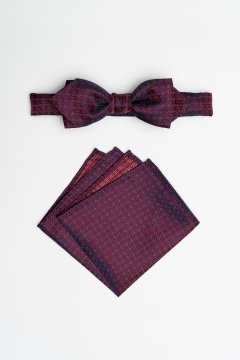 Pánský motýlek BANDI, model EDUCTO slim 02