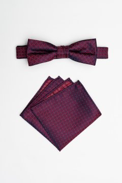 Pánský motýlek BANDI, model EDUCTO medium 02