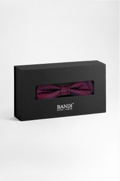 Pánský motýlek BANDI, model EDUCTO medium 02