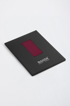 Pánský kapesníček BANDI, model ANTUZIO 03