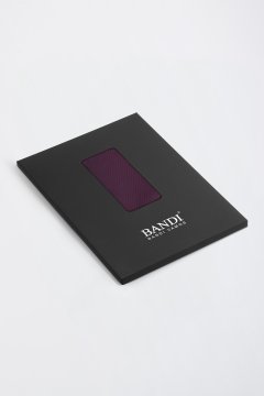 Pánský kapesníček BANDI, model ANTUZIO 04