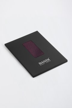 Pánský kapesníček BANDI, model APSITO 03