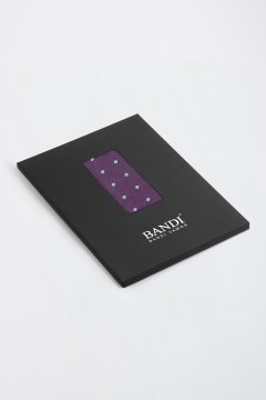 Pánský kapesníček BANDI, model CAVALO 06