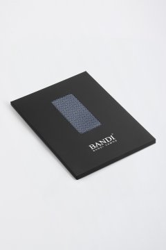 Pánský kapesníček BANDI, model EDUCTO 03