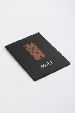 Pánský kapesníček BANDI, model LORIEN 03
