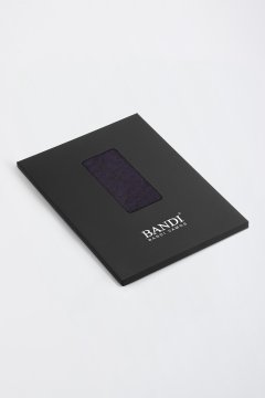 Pánský kapesníček BANDI, model RICIAMO 04