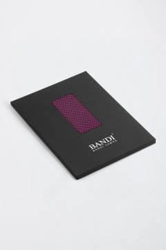 Pánský kapesníček BANDI, model SENARIO 01