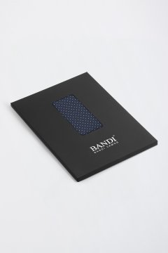 Pánský kapesníček BANDI, model SENARIO 03