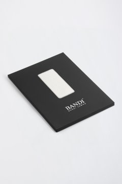 Pánský kapesníček BANDI, model VIVALIO 02