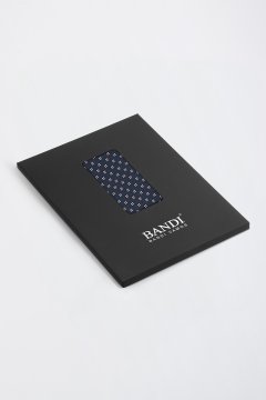 Pánský kapesníček BANDI, model FIOLLINO 03