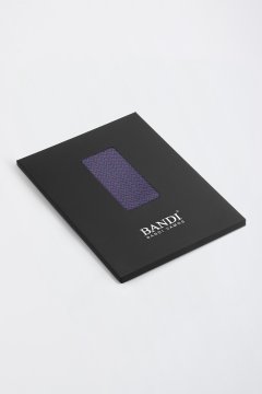 Pánský kapesníček BANDI, model CARIBIO 04