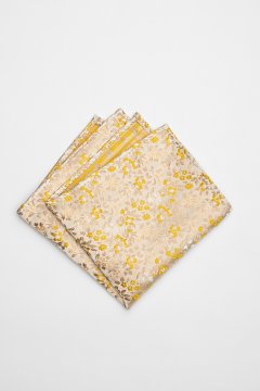 Pánský kapesníček BANDI, model FLERIO 01