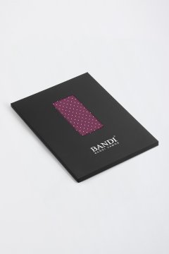 Pánský kapesníček BANDI, model GRANELO 01