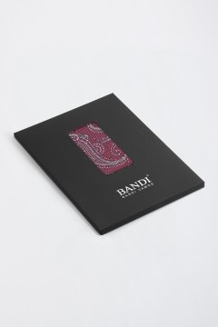 Pánský kapesníček BANDI, model INTALIO 03