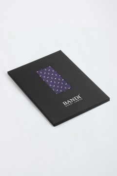 Pánský kapesníček BANDI, model LAMBOR 01