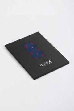 Pánský kapesníček BANDI, model ROCCHETO 02