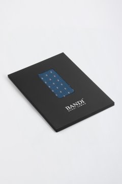 Pánský kapesníček BANDI, model LAMBOR 03
