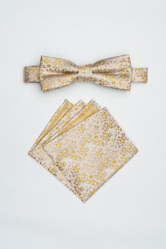 Pánský motýlek BANDI, model FLERIO medium 01