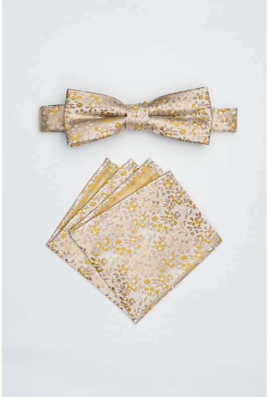 Pánský motýlek BANDI, model FLERIO medium 01