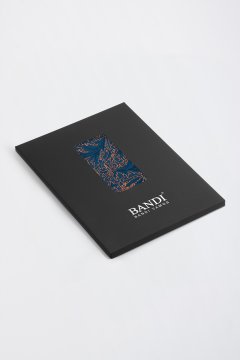 Pánský kapesníček BANDI, model MERTO 11
