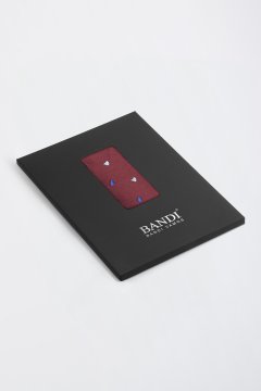 Pánský kapesníček BANDI, model GIRO 03