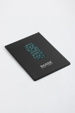 Pánský kapesníček BANDI, model MADELI 08