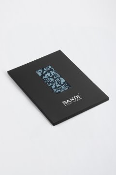 Pánský kapesníček BANDI, model ORINO 02