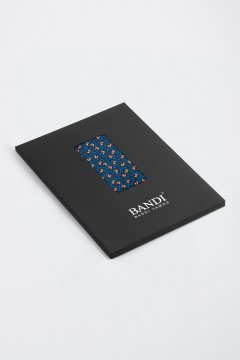 Pánský kapesníček BANDI, model PALOME 04