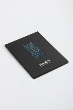 Pánský kapesníček BANDI, model PALOME 05