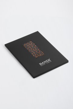 Pánský kapesníček BANDI, model PALOME 06