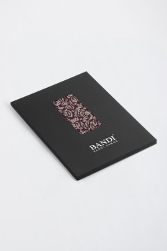 Pánský kapesníček BANDI, model PALSTO 01