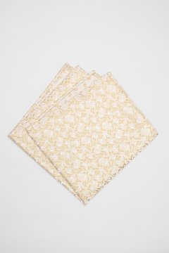 Pánský kapesníček BANDI, model PALOME 01