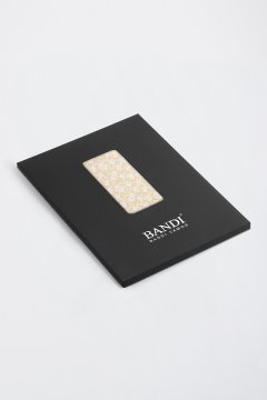 Pánský kapesníček BANDI, model PALOME 01