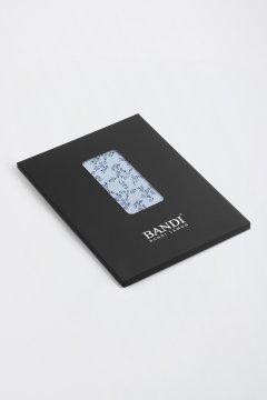 Pánský kapesníček BANDI, model DARNIO 03